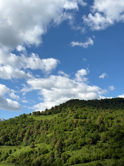 The image shows a scene near Chkalov, Armenia. The view is divided roughly in half between a bright blue sky with scattered white clouds and a lush green hillside covered with trees and grassy areas. The hillside is on the right side of the image, appearing to rise vertically. The sky is on the left, revealing patches of blue between the puffy white clouds. In the lower-right corner, a hint of snow-capped mountain can be seen. The orientation of the image suggests it was taken while holding the camera sideways. There are no people visible.