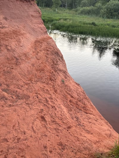 The image depicts a natural landscape featuring a reddish-brown cliff face in the foreground, sloping down towards a body of water on the right. The cliff appears to be composed of sand or loose soil, with visible footprints and some scattered dry vegetation. The water is calm and reflects the surrounding environment, including trees and greenery on the opposite bank. A patch of tall green grass and reeds is visible along the water's edge, further back from the cliff. In the background, a dense line of trees, primarily birches and other deciduous species, forms a natural border. The sky is overcast, indicated by the diffused light and lack of strong shadows. The overall impression is one of a tranquil, natural setting. The provided location is Даймище, Russia, suggesting this is a view of the riverbank or lake shore in that area.