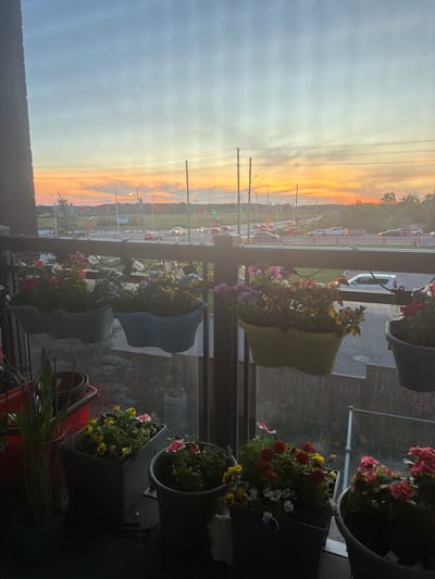 The image shows a balcony with several potted plants in front of a railing. Beyond the railing, there is a highway with traffic. The sky displays a sunset with orange and yellow hues. The location is identified as Oakville, Canada. No people are visible in the image.
