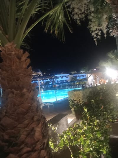 The image depicts a nighttime scene at a resort or hotel in Kos, Greece. In the foreground, the textured trunk of a palm tree is visible, with lush green foliage and palm fronds extending upwards and to the left. The background reveals a brightly lit swimming pool with turquoise water, surrounded by lounge chairs. Beyond the pool, a multi-story building with illuminated windows is visible, indicating guest accommodations. There are also people gathered under a covered seating area near the pool, suggesting a social gathering or dining experience. The overall ambiance is one of a tropical vacation destination at night.