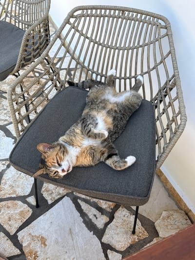 A calico cat is sleeping on its back on a dark gray chair cushion. The cat is lying on an outdoor patio with stone flooring. The cat has its eyes closed and paws in the air. In the background, there is another identical chair. The scene is located in Kassopaia Municipal Unit, Greece.