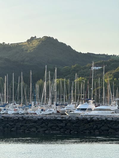 The image depicts a marina in Zumaia, Spain, with numerous sailboats and motorboats docked in calm water. The boats are arranged in rows, with their masts creating a striking visual pattern against the backdrop of a lush, green hillside. A large stone breakwater separates the marina from the foreground water, which reflects the sky and the surrounding scenery. The hillside is densely covered with trees, and a white house with a red roof is visible near the summit. The sky is clear and bright, suggesting a pleasant day. There are no people visible in the image.