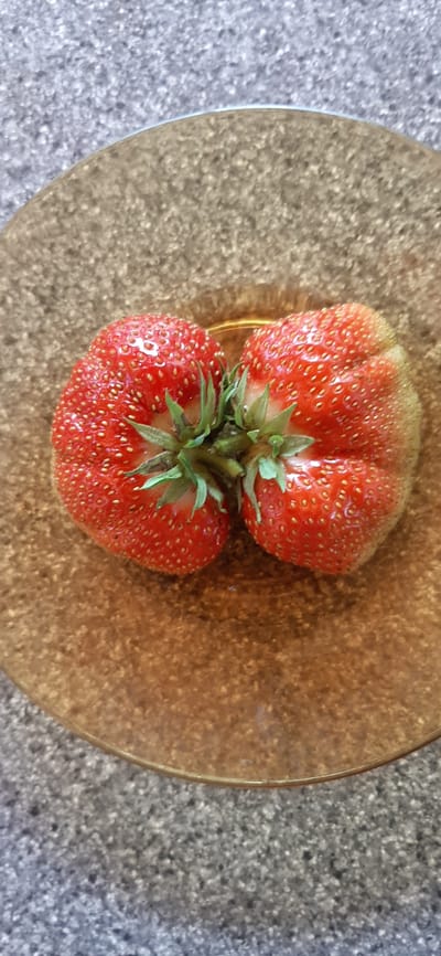 A close-up overhead shot shows two conjoined strawberries resting on a textured, amber-colored plate. The strawberries are bright red with visible seeds and green stems. The plate is positioned on a gray, speckled surface. The image appears to be taken indoors. The location is Былина Снт, Russia.