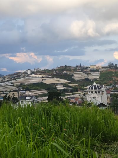 The image depicts a panoramic view of a hillside in Xuan Truong, Da Lat, Vietnam, characterized by extensive agricultural greenhouses and residential structures. The foreground is dominated by lush, tall green grass and some small flowering plants.
The midground reveals a complex landscape of terraced hillsides covered with numerous white plastic greenhouses, indicating agricultural activity. Interspersed among the greenhouses are various buildings, including houses with red and brown roofs, and some larger, modern white structures. A prominent building with a distinct black and white dome stands out. Further up the hill, a cluster of buildings is visible, including a white building with a prominent antenna or spire, and other houses and structures stretching across the slope.
The background shows more distant hills and a cloudy sky. The clouds are a mix of white, gray, and some hints of pink and orange, suggesting it may be late afternoon or early evening. The overall impression is one of a developed rural or semi-urban landscape, blending agriculture with residential areas on a hilly terrain under a dynamic sky. No people are visible in the image.