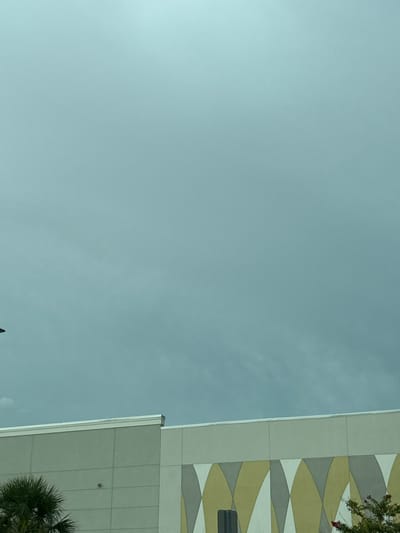 The image captures a portion of a building's facade against a gray, overcast sky. The building appears to be a commercial structure with a light gray upper section and a lower section adorned with a geometric pattern of overlapping yellow, gray, and white ovals. A white decorative molding runs along the top of the building. To the left, a palm tree is partially visible. The scene suggests an outdoor environment in South Venice, United States of America, likely during daylight hours with cloud cover. No people or specific actions are depicted.
