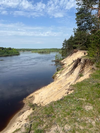 The image depicts a river scene, likely taken from an elevated position on a sandy embankment. The river is wide and dark, reflecting the sky. The left side of the frame shows a blue sky with white clouds. On the right is a steep, sandy bank, with exposed roots and vegetation. Grass covers the top edge of the embankment. Trees are visible along the opposite bank of the river. The location is likely Nikulikha, Russia.