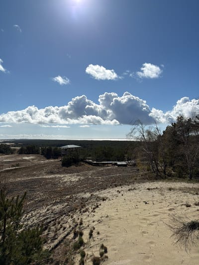 The image depicts a landscape in Morskoe, Russia, possibly a coastal area with sand dunes and vegetation. The right side of the image shows a sandy area with scattered plants and shrubs, possibly a sand dune. The terrain appears dry and textured. A wooden structure, possibly a boardwalk or platform, is visible. The left side of the image features a blue sky with white, puffy cumulus clouds. The sun is visible in the upper left corner, creating a bright spot in the sky. In the distance, a strip of land or water is discernible between the sky and the dune.