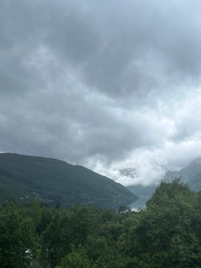 The image depicts a serene natural landscape with a large body of water surrounded by verdant mountains under a heavily overcast sky. The foreground is dominated by dense, dark green foliage, likely trees, that partially obscures the view of the water and the distant mountains. The mountains themselves are covered in thick vegetation, with some patches of lighter green indicating clearings or different types of flora. In the background, the peaks of the mountains are shrouded in mist and clouds, with some snow-capped summits visible, suggesting a high altitude or a colder climate. The water appears calm and reflects the muted tones of the sky. The overall atmosphere is somber and tranquil, characteristic of a cloudy day in a mountainous region. The scene is consistent with the geography of Røldal, Norway, a village known for its dramatic natural scenery, including fjords, mountains, and lakes, often experienced under atmospheric conditions like those shown. There are no people or animals visible in the frame.