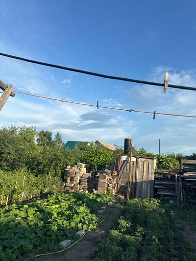 This is a landscape photograph taken outdoors on a sunny day. The image is oriented vertically. In the foreground, a black cable runs diagonally from the bottom left towards the top right. Attached to a thinner clothesline suspended below the cable are several clothespins, some wooden and some blue. The background features a rural scene. To the right of the cable, there's a weathered wooden structure, possibly a shed or outbuilding, with a black water tank on top. Piles of bricks and building materials are scattered around the base of this structure. Beyond that, lush green vegetation, including trees and what appears to be a garden patch with climbing plants, fills the right side of the frame. In the distance, the sky is a vibrant blue with scattered white clouds. The overall impression is one of a rustic, possibly agricultural setting, bathed in bright sunlight, suggesting it is daytime. The location is identified as Tobyl, Kazakhstan. There is no visible text in the image.