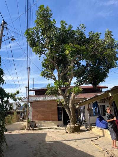 The image depicts an outdoor scene in Kota Kuala Simpang, Indonesia. A large, mature tree with abundant green leaves dominates the left side of the frame, its branches extending upwards and across. The sky is a clear blue with wispy white clouds.

In the background, a building with a corrugated metal roof is visible. A section of this building has a window covered by a bamboo blind. Laundry, including blue jeans and other clothing items, is hung out to dry on a clothesline attached to the building. An elderly person is seated on a ledge in front of the building, wearing a dark grey shirt and a dark blue garment wrapped around their lower body. They are barefoot. Next to the person, a bicycle is parked.

Power lines crisscross the sky, supported by a concrete pole visible in the lower left quadrant of the image. The ground appears to be a paved pathway or road made of concrete blocks. The sunlight suggests it is daytime, likely late afternoon given the angle of the shadows cast by the tree and the building. The overall impression is a casual, everyday scene in a residential or semi-rural area. There is no visible text in the image.