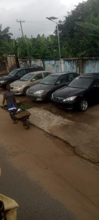 The image displays an outdoor scene in Ezinifite, Nigeria, under an overcast sky. In the left foreground, a person, appearing female, is positioned facing right while pushing a single-wheeled metal wheelbarrow. The individual wears a grey short-sleeved top and blue and white striped shorts. The wheelbarrow contains a large quantity of small, brown, oval-shaped items, consistent with nuts or seeds, along with other indeterminate objects. The immediate ground beneath the person and wheelbarrow is an unpaved dirt path.
To the right of the dirt path, a raised concrete curb separates it from a concrete parking area. Five vehicles are parked in a line on this concrete surface, oriented parallel to the path. From left to right, these vehicles are: a dark-colored SUV, a light gold sedan (consistent with a Toyota Corolla), a grey sedan (consistent with a Toyota Corolla), a black sedan (consistent with a Toyota Corolla), and a partially visible black sedan (consistent with a Toyota Camry) at the far right.
Behind the parked vehicles, a low, light blue concrete wall, exhibiting signs of fading and wear, extends across the midground. Behind this wall, dense green foliage, including large-leafed plants resembling banana or plantain trees and other dark green trees, is visible. A metal gate is partially discernable on the far left behind the SUV. In the upper left background, a wooden utility pole with overhead power lines is present. To the right of the utility pole, a metal pole supports a street light equipped with a solar panel, extending above the vegetation.