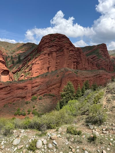 The image displays a majestic natural landscape, likely captured in Jeti-Ögüz, Kyrgyzstan, showcasing a dominant formation of vibrant red rock cliffs under a clear blue sky. The focal point is a massive, layered red mountain or cliff face, characterized by distinct horizontal strata and rugged, eroded textures. The rock exhibits a deep reddish-brown color, with varying shades intensified by the bright daylight.
Sparse green vegetation, including bushes, shrubs, and patches of grass, clings to the slopes and crevices of the red rock, providing a striking contrast to the warm tones of the stone. Some areas of the rock face are bare, while others are partially covered by resilient plant life. The base of the rock formation gently slopes down into a rocky foreground.
The ground in the foreground is covered with numerous light-colored stones and pebbles of various sizes, scattered across dry earth. More scattered green shrubbery and dry grasses can be seen in this area, indicating a semi-arid environment.
Above the dramatic landscape, the sky is a brilliant blue, dotted with scattered, fluffy white cumulus clouds. The strong sunlight suggests it is daytime, likely mid-morning to late afternoon, creating clear shadows that accentuate the contours and depth of the rock formations. There are no people, animals, or man-made objects visible, emphasizing the untouched and grand scale of the natural environment. The scene evokes a feeling of awe for nature's geological power and beauty. No visible text is present in the image.