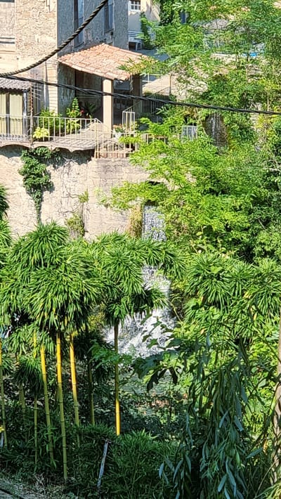 This image captures a tranquil scene in La Canya, Spain, showcasing a charming building with an overhanging tiled roof, supported by a central pillar. A metal railing encloses a small balcony adorned with potted plants. Adjacent to the building, a cascade of water tumbles down a textured stone wall, feeding into a body of water partially obscured by lush green foliage and tall bamboo stalks. The sunlight illuminates the vibrant greenery, creating a serene and inviting atmosphere. The scene appears to be a residential area, with the building suggesting it could be a home or a small guesthouse.