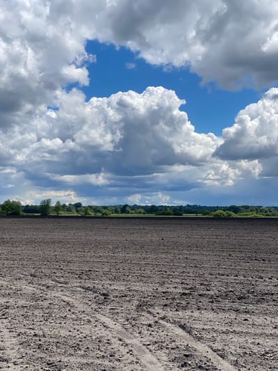 The image depicts a rural scene, likely in Matyashivka, Ukraine. On the right is a field of dark, cultivated soil. Small seedlings or sprouts are visible sparsely across the field. A line of trees and vegetation forms the horizon. Above this, there is a sky dominated by puffy, white cumulus clouds and patches of blue sky. The image has been rotated 90 degrees counterclockwise.