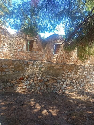 The image shows a ruined stone wall, likely part of an ancient structure, with two rectangular openings that appear to be windows. The wall is constructed from a mix of irregular-shaped stones of varying sizes and colors, with some areas appearing more weathered and crumbling than others. The lower portion of the wall is built with smaller stones, while the upper section uses larger, more roughly hewn blocks. Above the wall, dense pine branches with green needles and brown twigs are visible, casting dappled shadows on the wall and the ground. The ground in front of the wall is covered in a thick layer of pine needles and some dry grass. The sky is a bright blue with some wispy white clouds, indicating a sunny day. The overall scene suggests an outdoor environment, possibly in a rural or historical setting. The location is identified as the Municipal Unit of Anthidon, Greece.