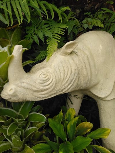 A cream-colored rhinoceros statue, textured with visible aggregate, is partially embedded in dense green foliage in Ba Nwet Kone, Myanmar. The statue's head, upper back, and portions of its front legs are visible. Its snout exhibits concentric circular wrinkles leading to a single, upward-curving horn. Small, rounded ears are present on the head. The statue is surrounded by various plant species: prominent green ferns with finely divided fronds occupy the upper background, while broader-leafed plants, including a variegated green and white specimen on the left and larger green leaves with yellow accents on the right, occupy the foreground and mid-ground. Dark shadows are present within the dense vegetation, indicating depth. No human subjects or discernible actions are depicted.