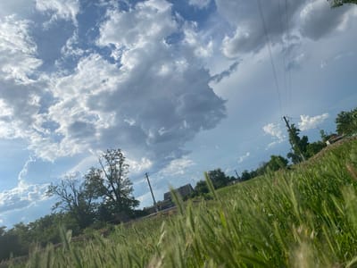 The image depicts a rural scene under a dramatic sky with cumulus clouds. The foreground is dominated by a field of tall, green grass, possibly wheat or barley, which is blurry due to a shallow depth of field, drawing the viewer's eye towards the middle ground and background.
In the middle ground, a line of trees and vegetation stretches across the frame, with some trees appearing bare and others lush. Visible amongst the trees are utility poles with power lines stretching across the sky, a common sight in rural areas. Further back, several simple structures, likely houses or outbuildings, are nestled into the landscape. A building with a corrugated roof is particularly noticeable.
The sky is a prominent feature, filled with large, textured clouds that suggest changing weather, possibly an approaching storm or just the dynamic nature of a summer day. The lighting suggests it is daytime, likely late afternoon or early evening, given the quality of light and the contrast between the bright areas of the clouds and the shadows.
The overall mood is one of natural beauty and rustic tranquility, with a hint of the wildness suggested by the dramatic sky. There is no visible text in the image. The scene is consistent with a rural location in Tagarnrogsky, Russia, characterized by open fields, trees, and modest rural architecture. There are no people or specific activities clearly visible, making it a landscape study focusing on the interplay of nature and human presence.