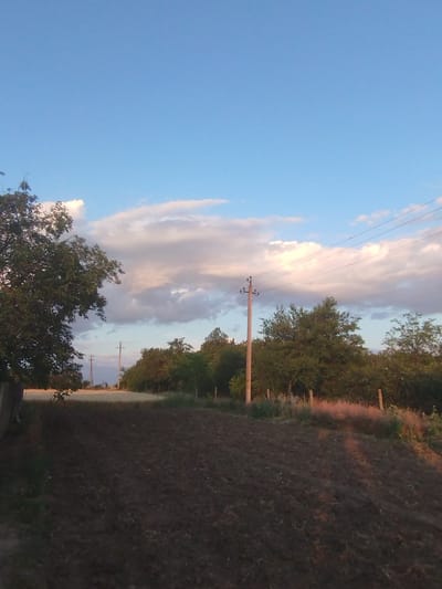 This media file captures a serene, rural landscape in Vasylivka, Ukraine. The scene is dominated by a field of freshly tilled earth in the foreground, suggesting agricultural activity. Beyond the field, a line of trees forms a natural boundary, interspersed with wooden fence posts. Several utility poles with wires are visible, indicating the presence of infrastructure in this semi-rural setting.

In the background, the sky is a vast expanse of clear blue, transitioning to soft hues of pink and white as clouds gather near the horizon. The lighting suggests either early morning or late afternoon, with the sun casting a gentle glow on the clouds and landscape. The overall mood is peaceful and tranquil, evoking a sense of calm. There is no visible text in the image.