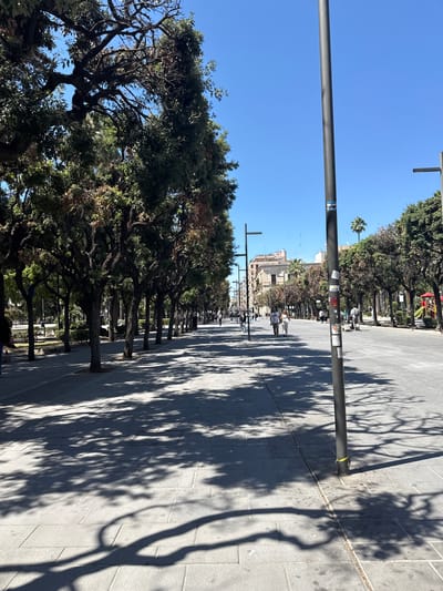 The image captures a wide, tree-lined pedestrian avenue in Bari, Italy, under a clear, bright blue sky. The scene is dominated by a row of mature trees with dense green foliage running along the left side of the avenue, casting long, detailed shadows across the light-colored paved pathway on the right.
In the foreground and extending into the mid-ground on the right side of the path, a prominent dark metal pole, likely a streetlight or signpost, stands vertically. It features a horizontal crossbar and has several stickers attached to it, one clearly displaying the word "PALERMO." Further down the avenue, more trees and similar poles are visible, extending into the distance, creating a sense of depth.
Several individuals can be seen walking leisurely along the avenue, appearing as small figures in the background. One person in a light-colored shirt is walking towards the camera on the right side of the path. Beyond the trees and poles, multi-story buildings line the distant street, contributing to an urban setting. A few palm trees are interspersed among the other trees. Faintly visible in the far background on the left, behind the trees, is a colorful playground structure with red and yellow elements.
The strong, crisp shadows on the pavement indicate a sunny day, likely during the morning or late afternoon. The overall atmosphere is calm and pleasant, depicting a typical day in a bustling yet green urban space.