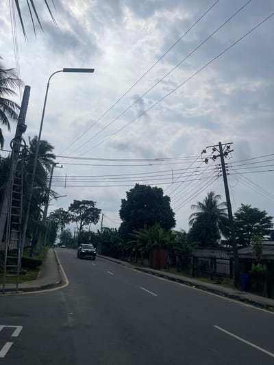 This image, set in Port-Harcourt, Nigeria, captures a daytime street scene under an overcast sky. The view is oriented diagonally, but when upright, depicts a paved road running from the foreground to the background on the right. The road features white dashed lane markings and a solid yellow line along the curb.
Adjacent to the road, on the left, is a green verge with grass and abundant tropical foliage, including prominent palm trees and dense, leafy trees. Behind this greenery, parts of buildings or structures are visible, partially obscured by vegetation and a metal gate or fence. A blue object, possibly a waste bin, can be seen near one of these structures.
Overhead, multiple utility poles with crossarms and insulators are prominent, supporting a dense array of electrical or communication wires that stretch across the frame against the cloudy backdrop. A modern street light, characterized by its flat, rectangular fixture, extends from a pole in the lower-left area. In the foreground, a metal ladder leans against an unseen support.
A dark-colored SUV, resembling a Toyota Prado, is driving away from the viewer on the road in the mid-ground. The sky is largely covered by grey clouds, indicating an overcast day with soft, diffused light. There are no people visible, and the scene appears to be a typical moment of urban or semi-urban daily life. No discernible text is clearly visible on any objects or structures.
