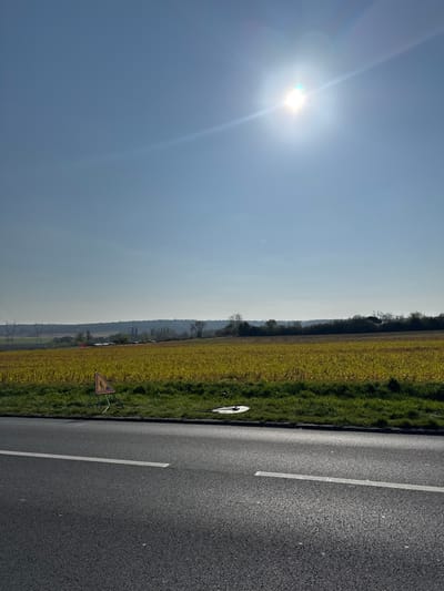 The image depicts a rural landscape under a clear, bright blue sky with the sun prominently positioned in the upper right quadrant, emitting a visible lens flare. The foreground features a dark gray asphalt road with a solid white line delineating its right edge and a dashed white line further left, indicating a multi-lane or wider road. Sunlight reflects brightly off the road surface.

Adjacent to the road, on a strip of green grass, two distinct objects are present. To the left, a yellow triangular sign with a black border and a black pictogram of two walking figures (an adult and a child) lies partially obscured by the grass, oriented diagonally. To the right of this sign, a round, metallic object, resembling a manhole cover or access cap, rests flat on the ground within the grass verge.

Beyond the road and grass, a large field of green and yellow vegetation extends horizontally across the midground. The yellow coloration suggests a mature crop, possibly rapeseed or a similar agricultural product. In the background, a distant tree line marks the horizon, beyond which faint hills or elevated terrain are visible. On the far left of the background, multiple power line towers with associated cables are identifiable against the sky. No individuals, vehicles, or active interactions are present in the scene. The location is in the city of Marcoussis, France.