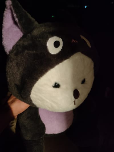 A stuffed toy, resembling a black and white cat with purple accents, is held up against a dark background. The toy has large white eyes with black pupils, a small brown nose, and a purple chest area. Its ears are also purple. A hand is visible supporting the toy from underneath. The setting appears to be indoors, with no discernible urban features. The location in the city of Молодёжный, Kazakhstan cannot be determined from the image.