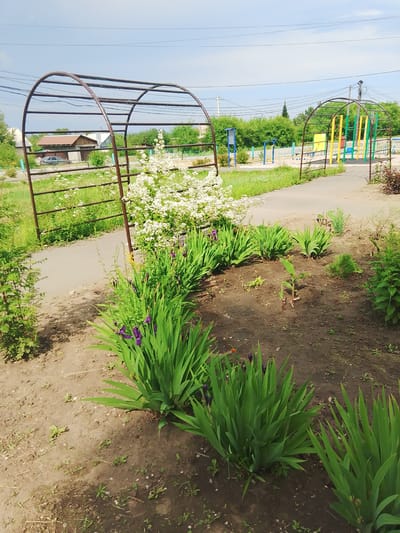 The image depicts an outdoor scene with a playground and a garden area. In the foreground, there is a bed of green leafy plants, some of which have purple flowers. To the left, a brown metal arched structure is visible. Beyond the garden, a paved pathway leads towards a playground area with colorful structures, including yellow, green, and blue bars, and a red slide. In the background, trees and some residential buildings are present. The sky is blue with some scattered clouds. The location is identified as Изыхские Копи, Russia.