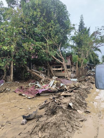 The scene reveals the aftermath of a destructive event. A muddied landscape is strewn with debris, including fragmented building materials and mangled metal sheets. Trees stand amidst the chaos, some uprooted or damaged. A partially collapsed building with its support beams visible is in the background. The foreground showcases thick layers of mud, suggesting a flood or landslide. The overall impression is one of significant devastation and environmental disruption.