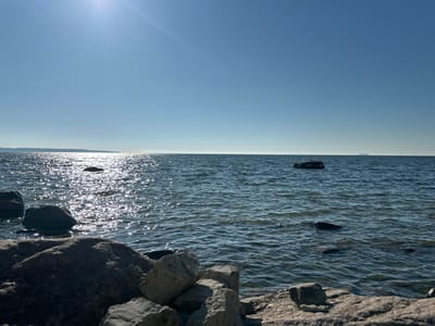 A wide-angle, eye-level shot captures a serene daytime view of the Baltic Sea near Rannamõisa, Estonia. The sun shines brightly from the upper left, casting a shimmering path of light across the rippling blue water. Several large, dark rocks are scattered along the shoreline in the foreground, with some partially submerged in the water. In the distance, a faint landmass with trees is visible on the horizon, and a small ship can be seen on the far right of the frame. The sky is a clear, pale blue.