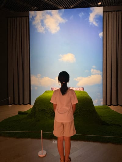 A young person with dark hair tied in a ponytail stands with their back to the camera, facing a large, vibrant display. They are wearing a plain white t-shirt and light-colored shorts. The display features a bright blue sky with scattered white clouds, behind a large, green, moss-covered hill. On top of the hill is a pink and floral patterned object. The display is flanked by dark, floor-to-ceiling curtains on either side. In the foreground, the floor is made of polished wood. A thin white rope, supported by small white posts, creates a boundary in front of the moss-covered hill. The scene is indoors, likely in an exhibition or museum setting. The location is identified as Jinniu District, China.