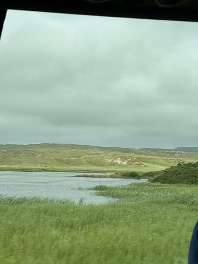 A scenic view of the coastline near Dunfanaghy, Ireland, showcases rolling green hills covered in grass and heather. The sky is overcast with gray clouds, suggesting a cool, potentially damp day. In the foreground, tall green reeds line the edge of a body of water, which appears to be a tranquil lake or inlet. The water reflects the muted sky, creating a serene atmosphere. Further back, the undulating landscape rises, dotted with sparse vegetation and sandy patches. The overall impression is one of natural beauty and a peaceful, remote location.