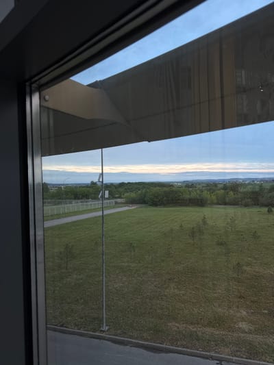 The image depicts a view through a window in Bolshoye Savino, Russia. Outside, there is a large grassy field with scattered trees. A path and a fence run alongside the field. In the distance, there is a horizon line with a cityscape or a line of trees separating the sky. The window has a dark frame and a reflection of the building's interior.