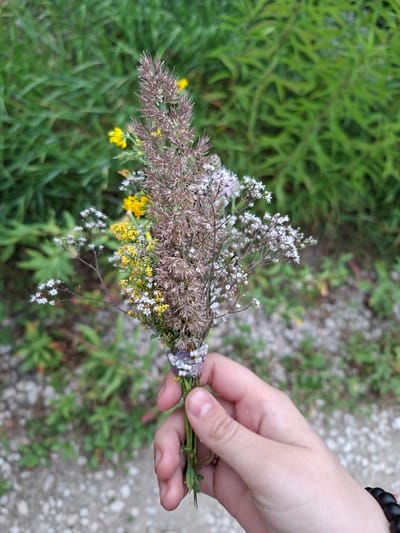 A close-up shot shows a hand holding a small bouquet of wildflowers. The bouquet consists of various grasses and small flowers, with a prominent reddish-brown feathery grass at the center, surrounded by delicate white and yellow blossoms. The hand, which appears to be from a person with fair skin, gently grips the stems. The background is blurred, revealing green foliage and a grey, pebbly path, suggesting an outdoor, natural setting. The lighting is soft, indicating it might be daytime. No specific landmarks of Lesnaya Byl', Russia are visible.