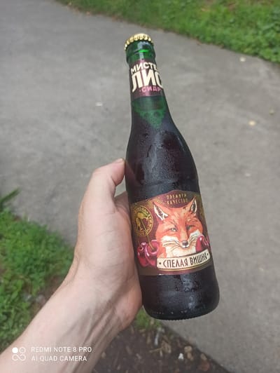 An individual's hand holds a frosted glass bottle of "Mister Lyuto" cider, a dark cherry-flavored beverage, against a blurred outdoor background. The bottle features a label with a stylized fox illustration and Russian text that translates to "premium quality" and "ripe cherry." The scene appears to be a casual outdoor setting, possibly near a sidewalk or park area, with hints of green foliage in the background. There is no identifiable information or context to link this image to the city of Irbit, Russia.
