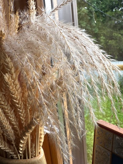 The image shows a close-up of dried wheat stalks and feathery pampas grass arranged in a vase. The vase is ceramic and has an earthy, textured appearance. Behind the dried plants, a window is visible, revealing a blurred green outdoor environment, possibly a garden or trees. The lighting suggests it is daytime, with sunlight casting shadows and highlighting the textures of the plants. There are no people or animals present in the image. The scene is indoors, near a window. The location is not determinable from the image.