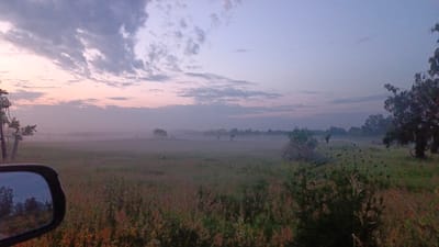 This image captures a foggy rural landscape at dawn or dusk. The foreground features tall grass and some wild plants, with a car's side mirror visible on the left, reflecting trees. In the middle ground, a vast, hazy field stretches out, with several scattered trees and a power pole on the left side of the frame. The background is a line of trees silhouetted against a soft, gradient sky transitioning from a pale pink near the horizon to a light blue overhead. Clouds are present in the upper portion of the sky. The scene appears to be in a rural area, possibly on the outskirts of a town or village, given the presence of a power pole and the expansive open land. The location is identified as Zuy, Russia. There are no people visible in the image.