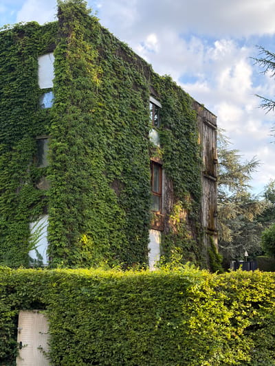 The image shows a building facade densely covered in green ivy. The ivy creates a textured, organic layer over the architecture, with some areas appearing thicker and more lush than others. The building itself has several windows, some of which are visible through the foliage. These windows vary in style, with some appearing to be traditional wooden-framed casement windows and others having a more modern, possibly corrugated metal or frosted glass appearance.
The roofline is partially visible, revealing a weathered wooden surface with some supporting beams. Above the building, the sky is visible with scattered clouds, suggesting daylight. The lighting indicates it is likely late afternoon or early morning, as the sun casts a warm glow on the ivy, highlighting its green hues and creating subtle shadows. The presence of trees and branches extending into the frame from the top left and right adds to the natural, overgrown aesthetic.
The scene is tranquil and appears to be located in a somewhat rural or suburban setting, given the extensive vegetation. There are no people visible in the image, and no text is present. The overall impression is one of a building that has been integrated with nature, creating a unique and verdant environment. The location context provided is Novalaise, France, which aligns with the bucolic and potentially historic feel of the image.