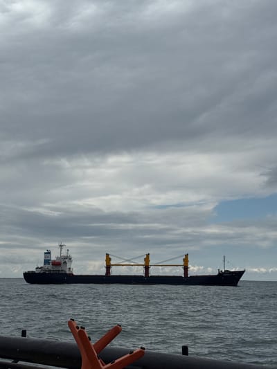 The image captures a maritime scene featuring two large ships on a body of water under an overcast sky. The photograph appears to be taken from a vessel or structure, with an orange, spoked object and a dark pipe or rail visible in the extreme right foreground.

In the mid-ground, a dark-hulled cargo ship or bulk carrier dominates, stretching horizontally across the frame. This vessel is equipped with at least three prominent yellow cranes or booms along its deck. Its stern, partially visible on the right, shows the name "ZEELANDIA" faintly written. Further towards the left, another, smaller vessel is positioned behind the larger ship, with its white superstructure visible. A blue and white logo, possibly containing the letters "CS" or "C5," is discernible on the side of this ship's superstructure.

The water surface is choppy with ripples, suggesting either currents, wind, or the movement of vessels. The sky is largely covered by varying shades of grey clouds, with brighter patches and hints of blue sky showing through in some areas, particularly towards the upper left quadrant. The overall atmosphere is overcast but bright, indicating daytime. The scene is consistent with a busy port or offshore area, aligning with the context of Marina di Ravenna, Italy. No specific activity like loading or unloading is clearly depicted, but the presence of cranes implies such operations are part of the ships' function.