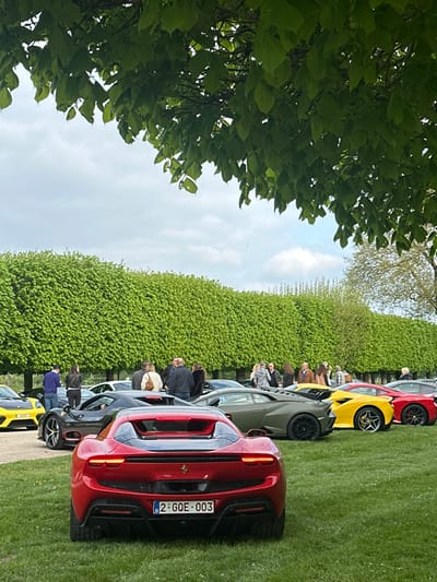 The image was taken at the Chateau de Chambord, France, located at latitude: 47.615, longitude: 1.518. It shows a row of luxury cars parked in a grassy area with people standing around them. The camera is facing the rear of a red Ferrari, which is in the foreground. There is a green hedge in the background, a green tree in the upper left corner, and a cloudy sky. The image features a variety of car models, including a Lamborghini, a Ferrari, and a yellow Porsche. The scene is a casual gathering with people standing and talking around the cars. The ground is covered in green grass.