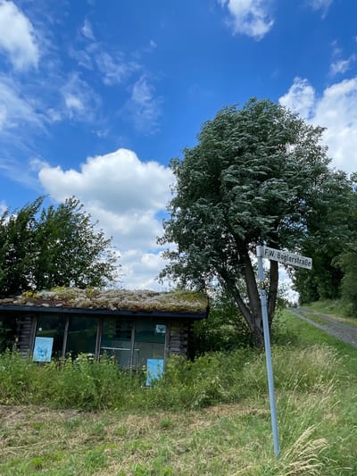 This is a photograph of a rural scene in Schwarzenborn, Germany. The image is oriented vertically. A large tree with feathery leaves dominates the left side of the frame, with its branches extending towards a bright blue sky dotted with white, puffy clouds. Behind the tree, a street sign reads "F.W. Boglerstraße". A metal pole extends from the ground, supporting the street sign, and has additional smaller signs attached.

To the right of the tree, a modern, low-lying building with a green, moss-covered roof is visible. The building has large glass windows, and posters are displayed on the exterior walls. The surrounding area is overgrown with tall, dry grass and green foliage. The overall impression is one of a tranquil, possibly undeveloped area. The time of day appears to be daytime, and the weather is clear and sunny. The presence of the street sign and the building suggests a developed, though possibly remote, location within the Schwarzwald region. No people are visible in the image.