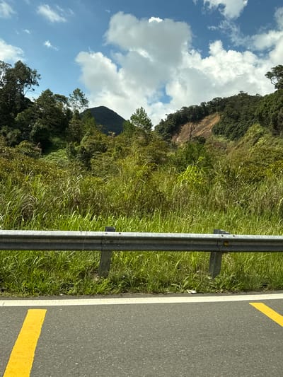 The image depicts a roadside view of a mountainous landscape in Lam Dong province, Vietnam. In the foreground, a section of asphalt road with a yellow lane marking is visible, separated from the embankment by a white line. A metal guardrail runs along the edge of the road, with dense green vegetation, including tall grasses and trees, growing behind it. The embankment rises steeply, covered in lush foliage, with a distant mountain peak visible in the upper left quadrant. The sky is blue with scattered white clouds. The scene suggests a rural or mountainous region, possibly a scenic route or a highway passing through undeveloped land.