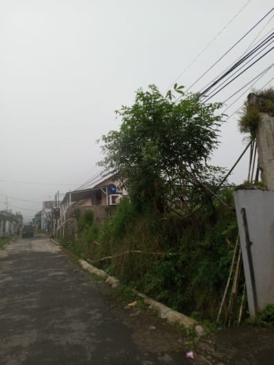 This image depicts a residential street scene in Ambakirano, Madagascar, under an overcast sky providing diffused light. The foreground shows a dark, wet asphalt road curving slightly uphill to the left. Concrete curbs border the road on both sides, with some scattered debris or litter visible on the left curb and road surface. To the right of the road, a dense embankment of green vegetation, including shrubs and taller plants, rises sharply. Partially obscured behind this foliage is a single-story house with a blue water tank visible on its exterior wall. Further to the right, a concrete utility pole or structure stands, supporting multiple dark electrical or communication lines that traverse the upper right quadrant of the image. Several bamboo poles lean against this concrete structure. In the distant background, along the left side of the road, a series of modest residential buildings with various roof types line the street. A dark-colored vehicle is visible on the road further up, and faint figures of individuals are discernible near these buildings. The sky is uniformly light grey, indicating heavy cloud cover or fog. No clear human actions or interactions are prominently featured.