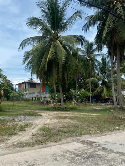 The image shows a row of coconut trees lining a dirt road in Moo 1, Thailand. A two-story house with a colorful (orange, teal) second story is visible behind the trees. The sky is partly cloudy. The road is bordered by a paved section, heavily cracked and damaged. The ground is covered with grass and some bare earth. Power lines are visible in the upper left corner.