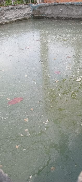 A deteriorated green painted surface shows signs of wear with peeling paint and patches of exposed material in pink and light brown hues. Moss or algae growth is visible in certain areas. A textured concrete border runs along the left side, hinting at a perimeter or edge. The surface appears damp or reflective, adding to the aged appearance.