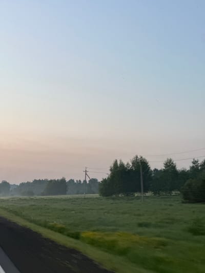 The image captures a serene, rural landscape at dawn or dusk. The sky transitions from a pale blue at the top to a soft pinkish hue near the horizon, indicating either the early morning or late evening. A band of light, possibly fog or mist, hovers low over a lush green field that stretches into the distance.
Dominating the middle ground is a dense line of dark green trees, forming a natural barrier. A solitary utility pole with wires is visible amidst the trees, suggesting the presence of infrastructure in this remote area. The foreground is occupied by the edge of a dark asphalt road, partially visible on the left, with a green embankment alongside it. The overall impression is one of tranquility and open space. The location in Krapivinskiy, Russia, suggests a typical scene of the Siberian countryside during a transitional period of the day. There are no people or animals visible in the frame.