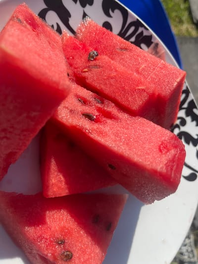 A close-up photograph depicts several watermelon slices on a white plate with a black and white decorative pattern. The watermelon pieces are red and contain visible black seeds. The plate appears to be resting on a blue surface. The scene is well-lit, suggesting an outdoor or brightly lit indoor environment. The location is not discernible from the image.