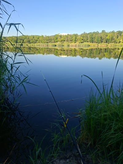 The image depicts a serene lake scene, likely in the vicinity of Grățiești, Moldova. The foreground is dominated by lush green reeds and tall grass, with a fishing rod propped up on the muddy bank. The rod itself is dark and slender, with a bright yellow accent near the tip. The lake's surface is remarkably still, creating a perfect mirror reflection of the treeline and a structure on the distant hill. The trees are a vibrant green, suggesting a warm, sunny day with a clear, bright blue sky overhead. The water appears deep and dark, with subtle ripples hinting at its depth and movement. The overall atmosphere is one of peaceful solitude, ideal for fishing or quiet contemplation.