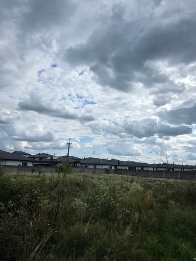 The image depicts a cloudy sky over a row of houses with dark roofs, separated by a stone fence. In the foreground, there is a field of tall grass and wildflowers. Electrical poles and wires are visible against the sky. The scene appears to be a suburban or semi-rural area.