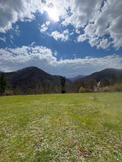 The image presents a landscape, presumably in the vicinity of Srednogortsi, Bulgaria, given the request. It features a clear blue sky with scattered cumulus clouds and visible sunlight. Adjacent to the sky is a mountain range with dense vegetation, primarily trees, suggesting forested slopes. To the right of the mountains is a field of grass. The color and texture indicate natural growth. No people, subjects, objects, actions, or interactions are directly visible in this landscape view.