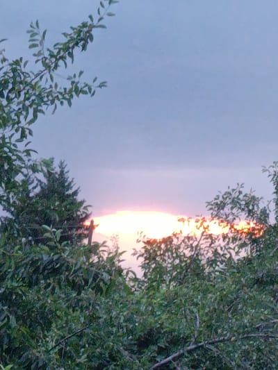 The image captures a serene sunset scene in Kyzyl Suu, Kyrgyzstan. In the foreground, lush green foliage from trees frames the view, with branches and leaves creating a natural border. The sky is a gradient of soft blues and purples, transitioning towards the horizon where a vibrant band of orange and pink light emanates from the setting sun. The sun itself is partially obscured by clouds and appears as a brilliant, glowing mass. Behind the trees, distant mountains are faintly visible, their forms softened by the twilight atmosphere. The overall impression is one of natural beauty and tranquility, characteristic of rural landscapes at dusk.
